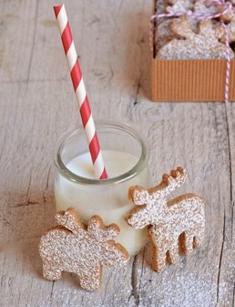 Biscotti alla nocciola speziati