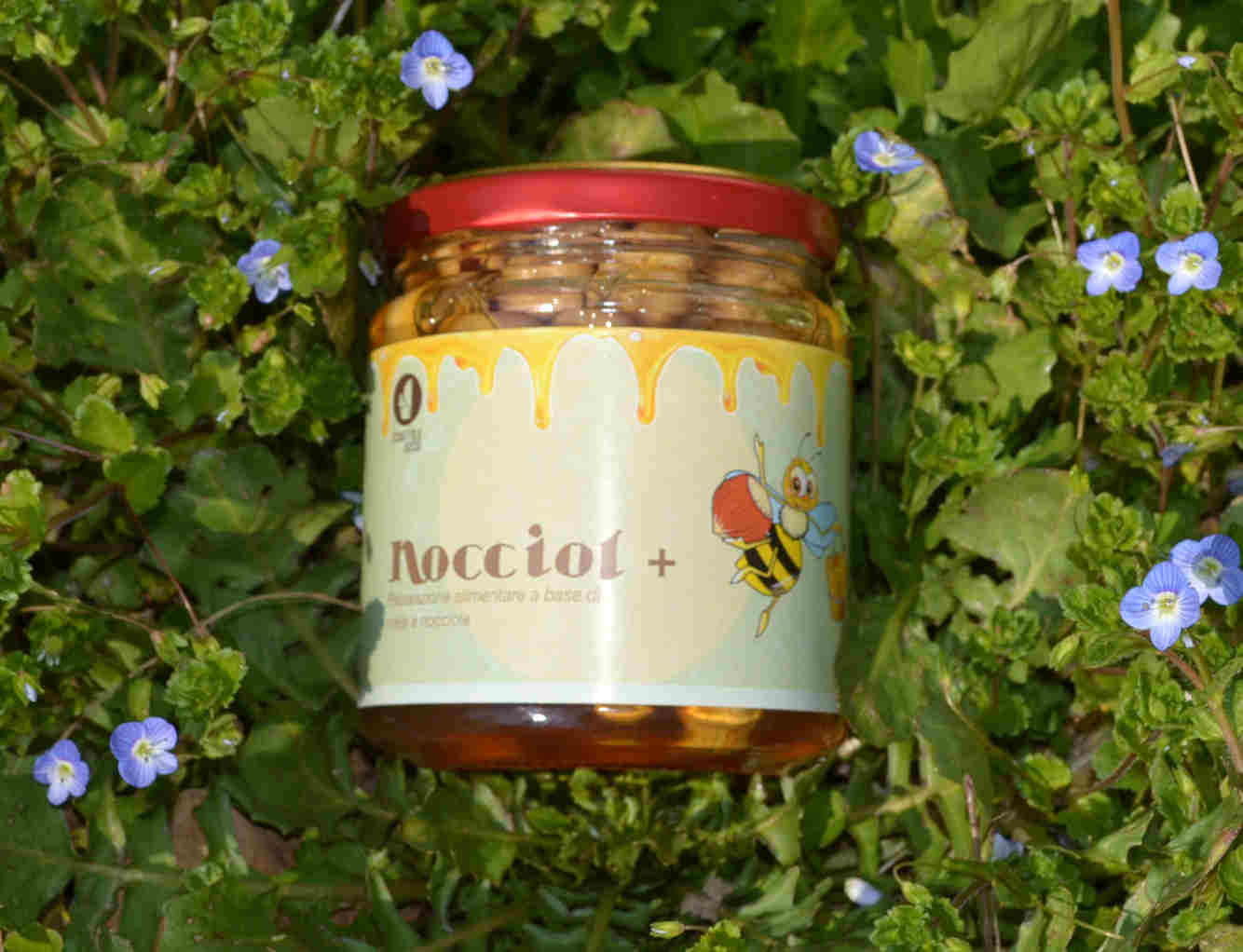 Home Scoiattolo Rosso 17 Nocciol+ | Nocciole Piemonte tostate con miele