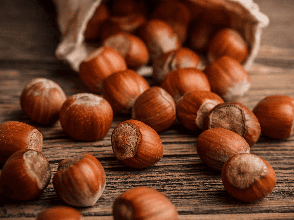 Benefici delle nocciole: perché fanno bene