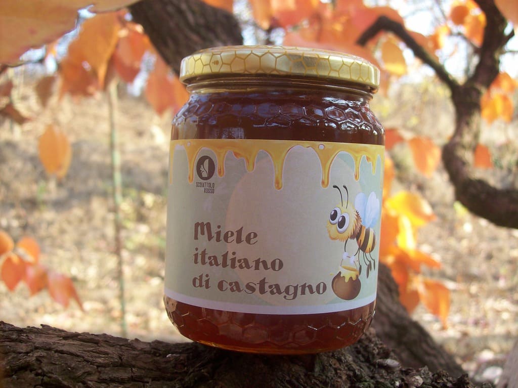 Conosci tutti i benefici del miele di castagno?