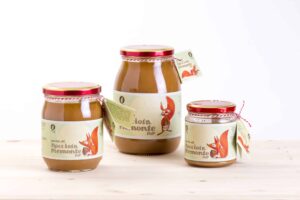 Come usare la pasta di nocciole in cucina: ricette salate e dolci.